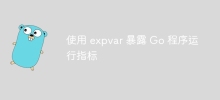 使用 expvar 暴露 Go 程式運行指標
