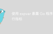 使用 expvar 暴露 Go 程序运行指标