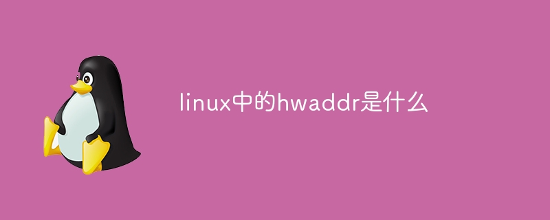 Apa itu hwaddr dalam linux