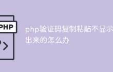 php验证码复制粘贴不显示不出来的怎么办