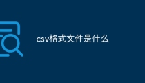 csv格式文件是什么