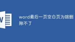 word最后一页空白页为啥删除不了