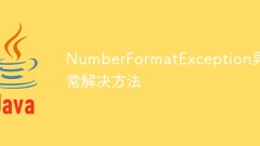 NumberFormatException 예외 솔루션