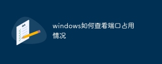 windows如何查看端口占用情况