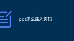 PPT에 페이지 번호를 삽입하는 방법