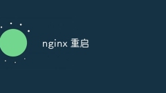 Nginx-Neustart