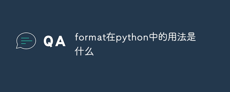 What is the usage of format in python