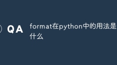 What is the usage of format in python