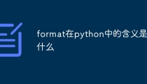 format在python中的含义是什么