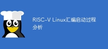 RISC-V Linux assembly startup process analysis