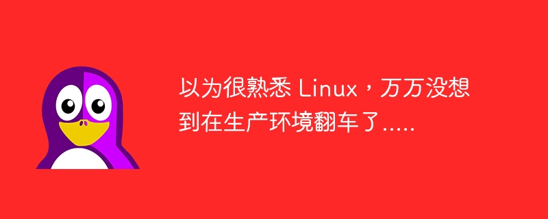 Ich dachte, ich wäre mit Linux vertraut, aber ich hätte nie erwartet, dass es in der Produktionsumgebung auf den Kopf gestellt werden würde ...