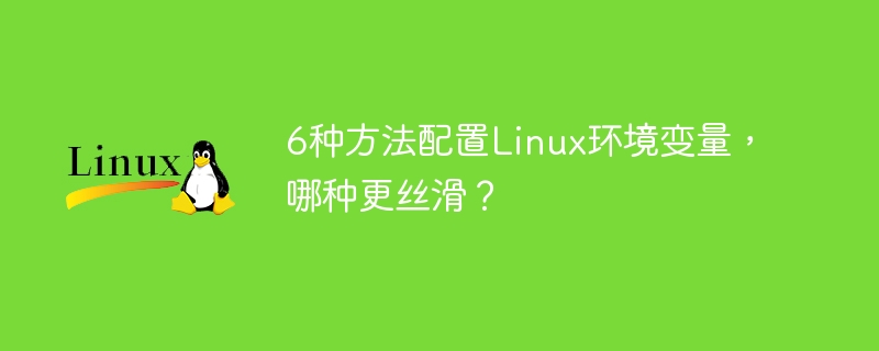 Linux 환경 변수를 구성하는 6가지 방법 중 어느 것이 더 원활합니까?