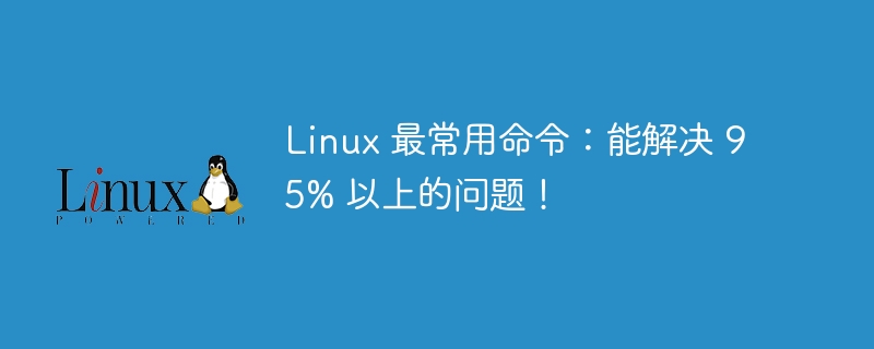 가장 일반적으로 사용되는 Linux 명령: 문제의 95% 이상을 해결할 수 있습니다!