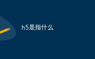 h5是指什麼
