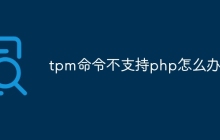 tpm命令不支持php怎么办