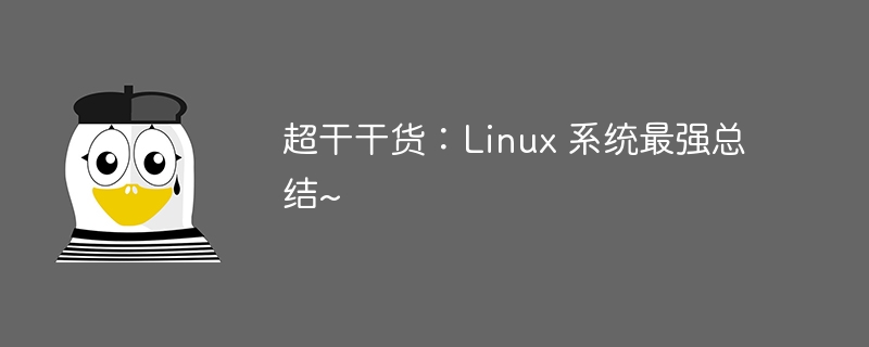 Super trockenes Zeug: Die stärkste Zusammenfassung von Linux-Systemen~