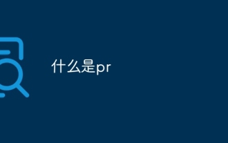 pr是啥意思