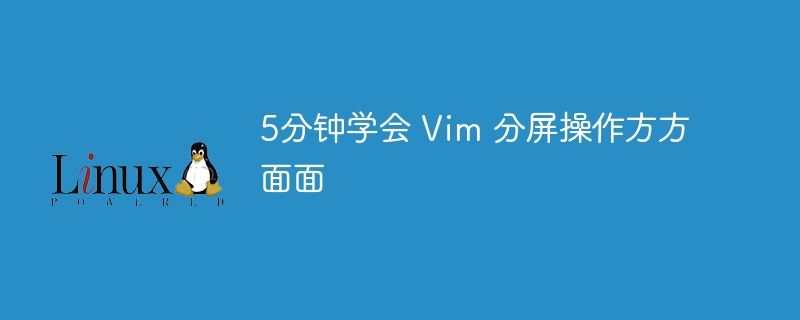 5分钟学会 Vim 分屏操作方方面面