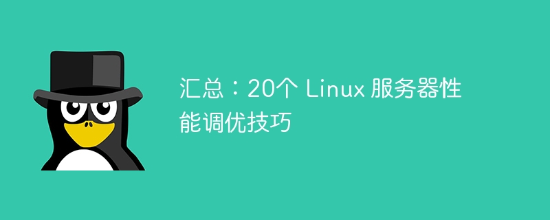 概要: Linux サーバーのパフォーマンス調整に関する 20 のヒント