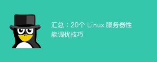 汇总：20个 Linux 服务器性能调优技巧