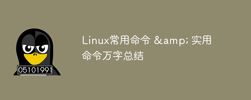 일반적으로 사용되는 Linux 명령 및 실제 명령을 10,000 단어로 요약