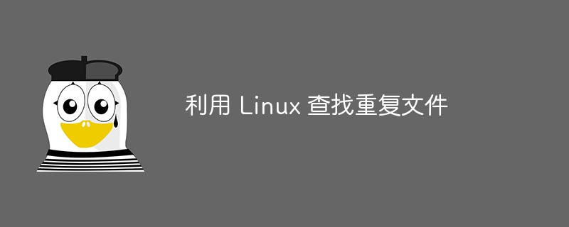 Linux를 사용하여 중복 파일 찾기