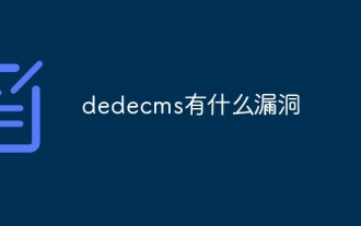 Welche Lücken hat dedecms?