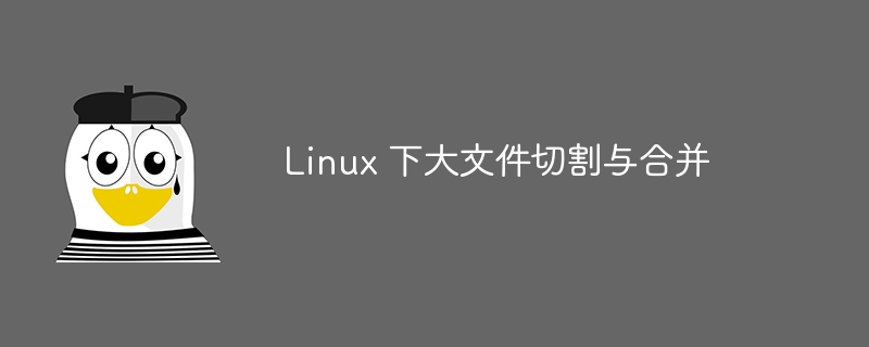 Linux에서 대용량 파일 잘라내기 및 병합