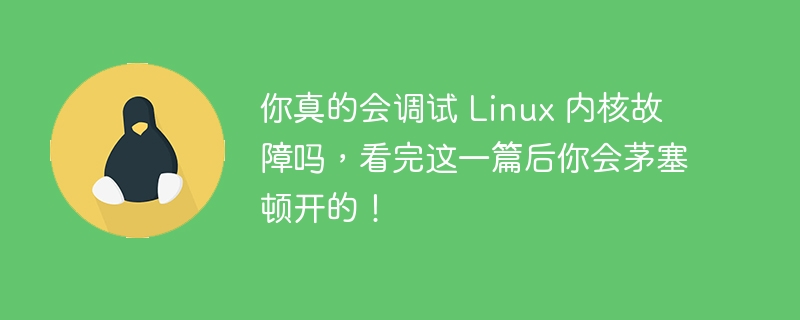 Linux 커널 오류를 디버깅하는 방법을 정말로 알고 계십니까? 이 기사를 읽고 나면 깨닫게 될 것입니다!