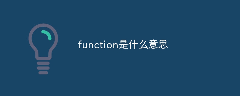 function是什麼意思