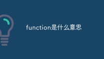 function是什么意思