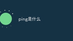 핑이 뭐야?