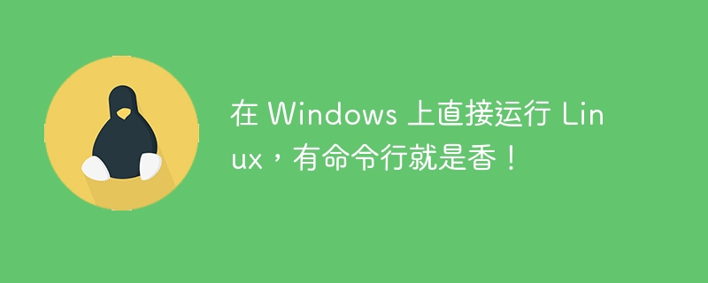 Windows에서 Linux를 직접 실행하려면 명령줄이 있으면 좋습니다!