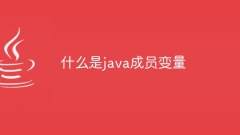 什么是java成员变量