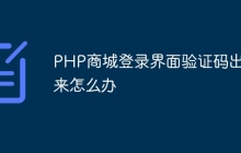 PHP商城登录界面验证码出不来怎么办