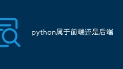 Python은 프런트엔드인가요, 백엔드인가요?