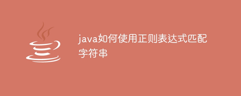 정규식을 사용하여 Java에서 문자열을 일치시키는 방법