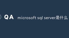 마이크로소프트 SQL 서버란 어떤 소프트웨어인가요?