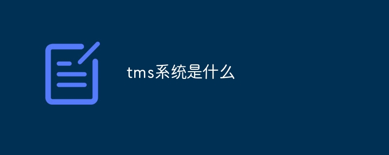 tms系统是什么