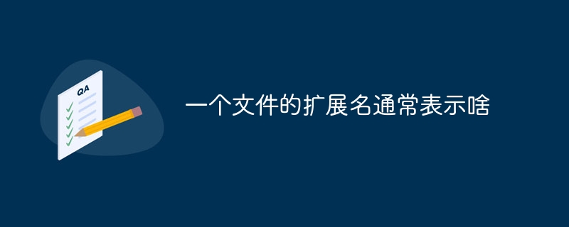 파일 확장자는 일반적으로 무엇을 의미합니까?