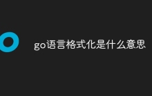 go语言格式化是什么意思