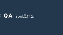 what is soul