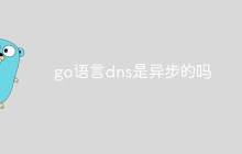 go语言dns是异步的吗