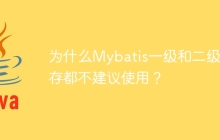 为什么Mybatis一级和二级缓存都不建议使用？