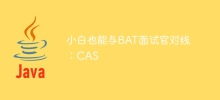 小白也能與BAT面試官對線：CAS
