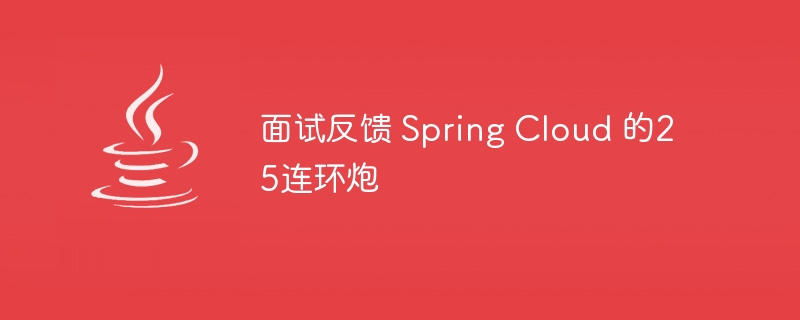 Retour sur l'interview Série de 25 plans de Spring Cloud