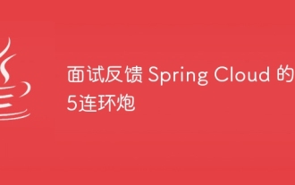 Interview-Feedback zur 25-Schuss-Serie von Spring Cloud