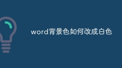 단어 배경색을 흰색으로 바꾸는 방법