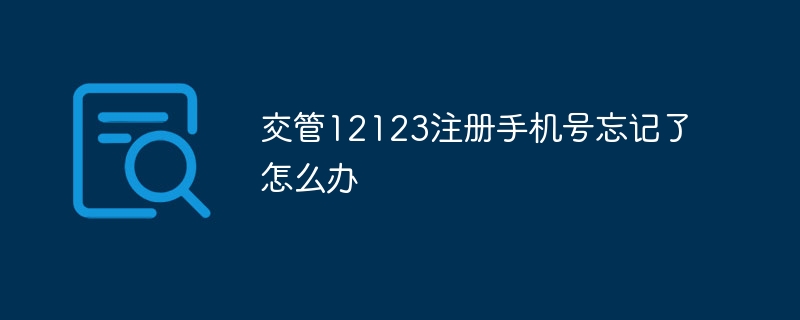 교통관리12123에 등록된 휴대폰 번호를 잊어버렸을 경우 어떻게 해야 하나요?