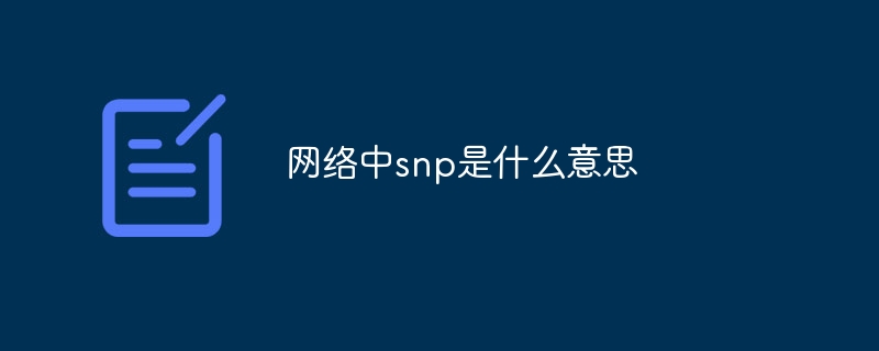 网络中snp是什么意思